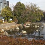 サムネイル:近隣風景(仙台堀川公園)