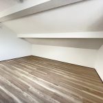 サムネイル：屋根裏